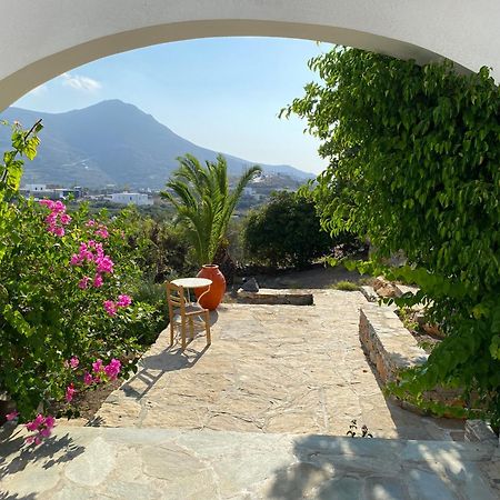 Apaggio Apartments Katápola Dış mekan fotoğraf