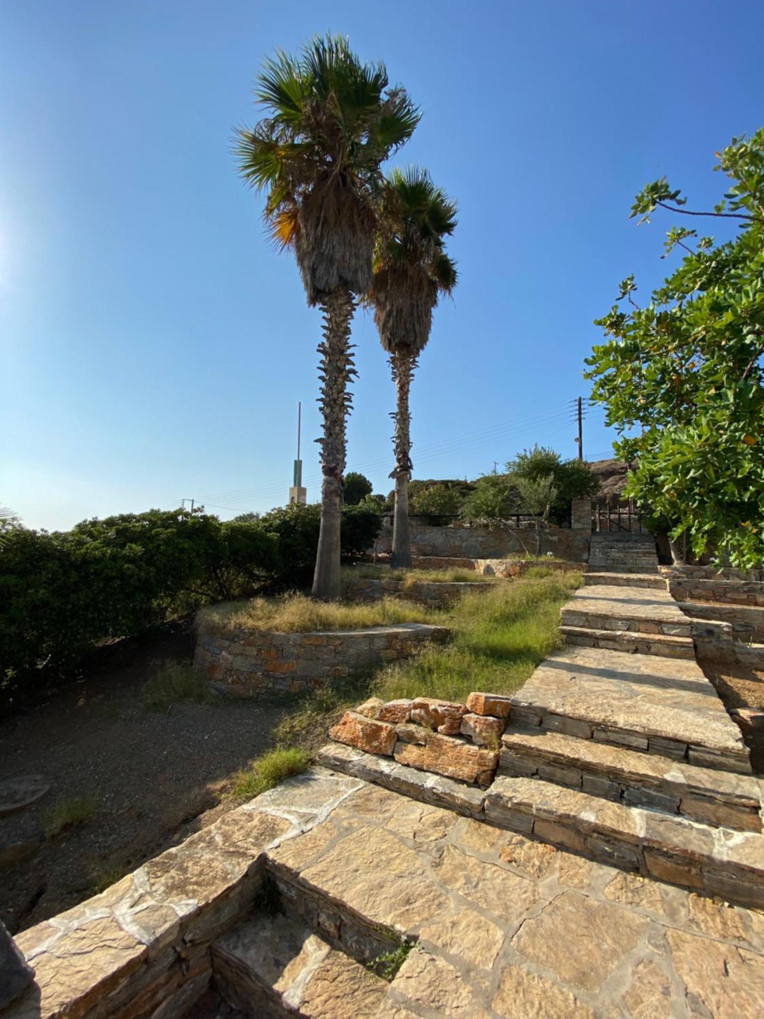 Apaggio Apartments Katápola Dış mekan fotoğraf
