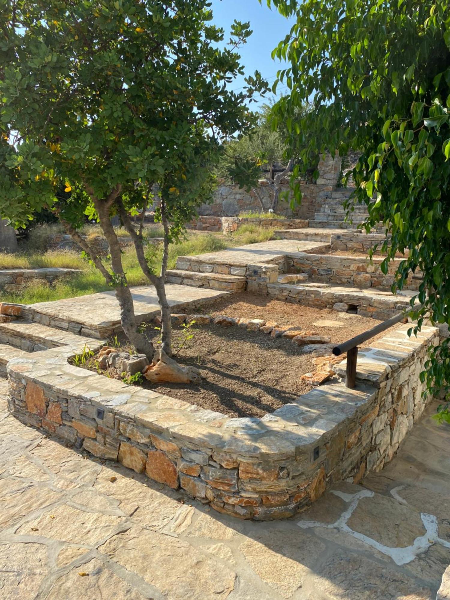Apaggio Apartments Katápola Dış mekan fotoğraf