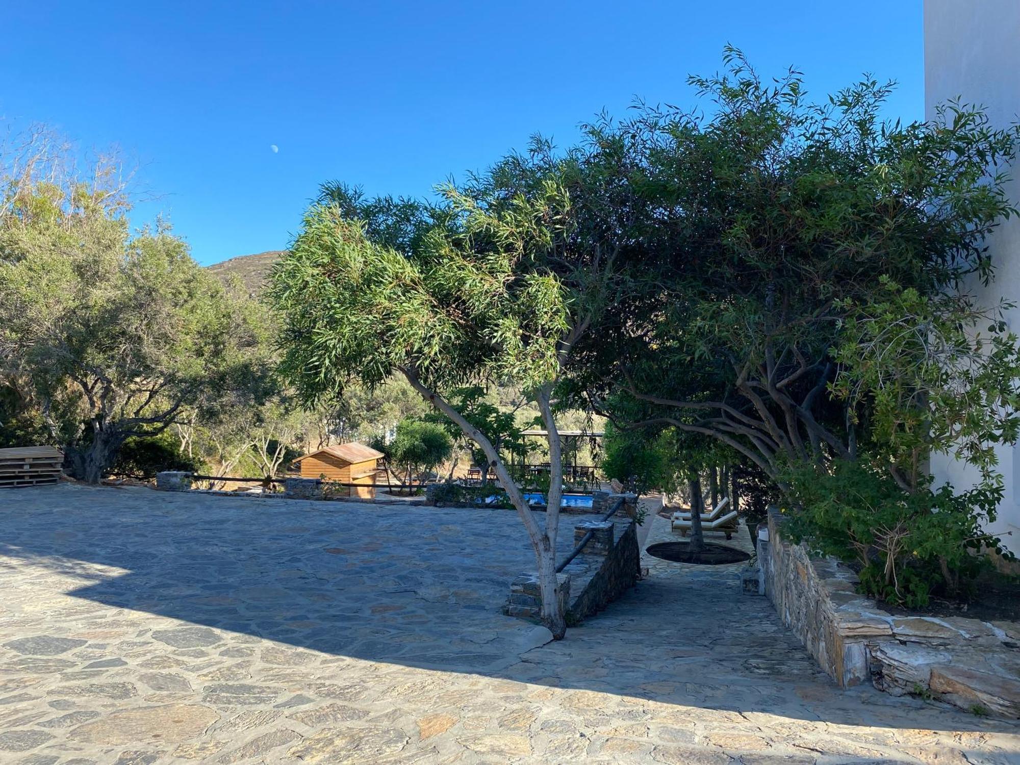 Apaggio Apartments Katápola Dış mekan fotoğraf